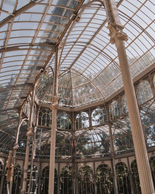 The image shows the interior of a conservatory or glasshouse with a large, curved glass ceiling supported by ornate, cream-colored metal columns and arching framework. The transparent glass panels allow natural light to fill the space, highlighting the clean and well-maintained surfaces. Reflections of trees and sky are visible through the glass, indicating the conservatory is situated within a botanical or lush garden setting. The structure features a combination of decorative columns and extensive glass windows, creating an airy and bright environment suitable for indoor plants or leisure activities. This interior, maintained and cleaned by professionals such as crystalpalacecarpetcleaning.co.uk, emphasizes surface cleanliness and proper maintenance of glass and framework for optimal appearance and hygiene.